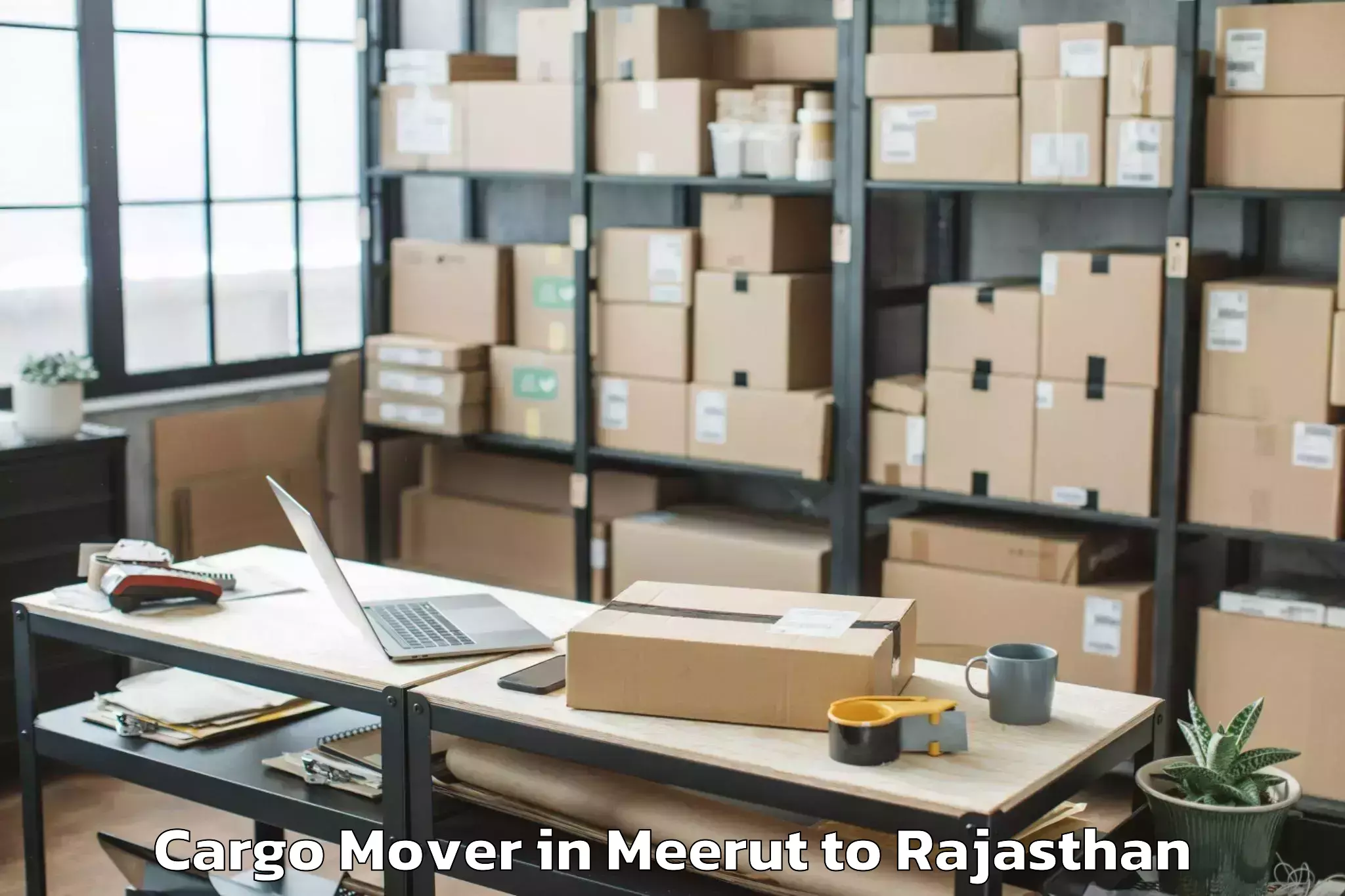 Hassle-Free Meerut to Bagar Cargo Mover